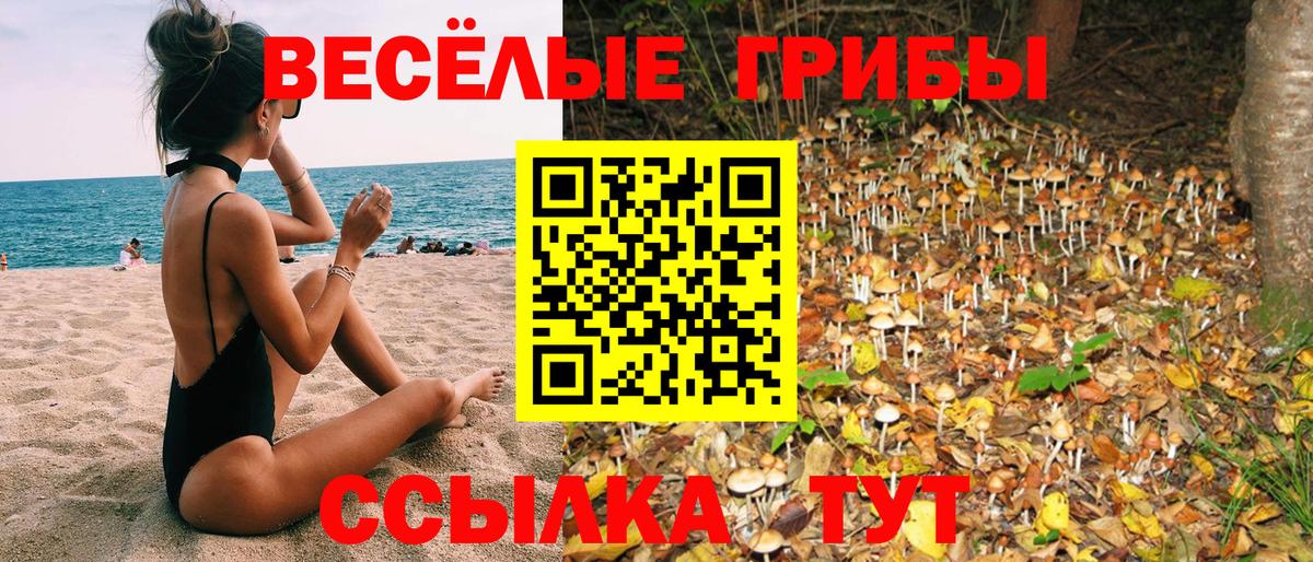 Псилоцибиновые грибы Psilocybe Обь
